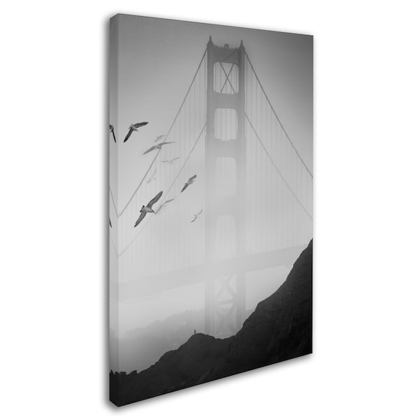 Moises Levy 'Golden Gate Pier And Birds I' Canvas Art,12x19